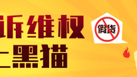 战队新成员加盟，备战新赛季挑战